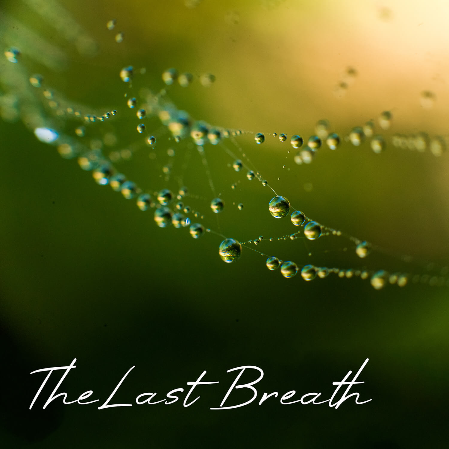 The Last Breath — single cover